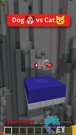Dog 🐶 vs Cat🐱 Parkour in Minecraft!