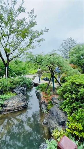 Where architect design meeting in Nature | #architecture #nature #natural #soothingrelaxation #short