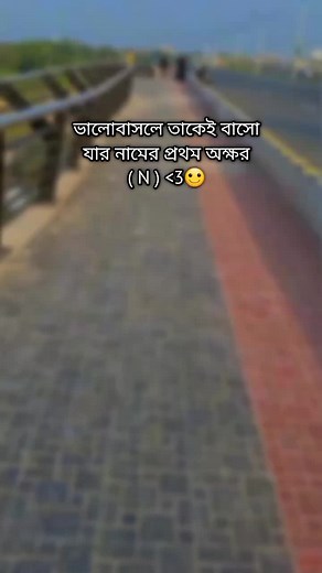 Funny Frog Video Compilation 🐸🌚😂