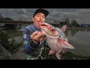 si Etet na MANGGAGANCHO - Pasig River CREAM DORY FISHING | Y6E37