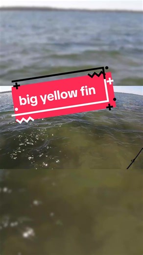 Catch Big Yellowfin Tuna in Mandurah, WA