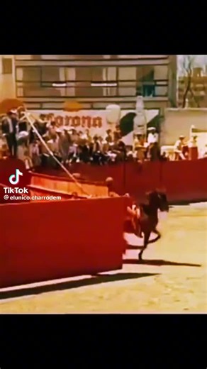 Abel Pacheco on TikTok