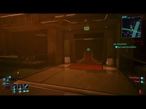 Cyberpunk 2077 Gig: Psychofan