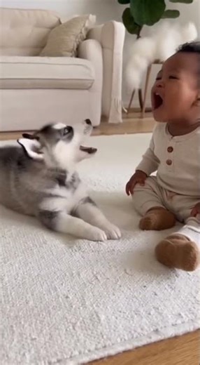 😍 Watch this Cutest Baby & Puppy Moment Ever — Pure Love 🐶💖