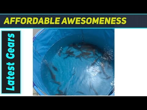 Amazing Portable Fish Pond? Durable Canvas Tank for Koi & More!