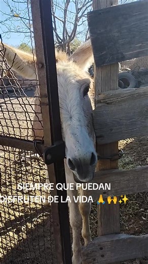 #siempre que puedan 🙏🙌✨ gracias pillina @Ma Julieta Hernandez 😘