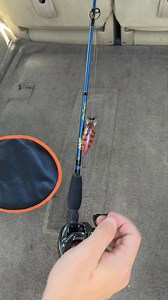 Introducing the LureShield by Rod Armour 🎣🇺🇸 1 - Stop tangles and hooks getting caught 2 - Suits all soft plastics and hard body lures 3 - Quick and easy Protect your ✋, 👀 , 🚗 and 🛥️ ⭐ 42,000 anglers trust it 🎁 Bundle & Save up to 25% Off 📦 Fast shipping 💯 100% Money-Back Guarantee | Rod Armour