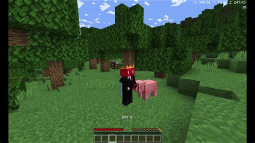 Minecraft Hardcore: Full Iron Gear Guide