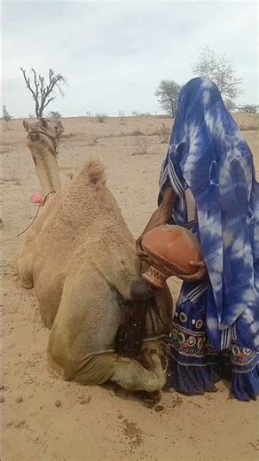 هل سيتمكن هذا المزارع من إنقاذ هذا الحكم القاسي؟ لقد فاجأ الشيء الأسود الجميع.