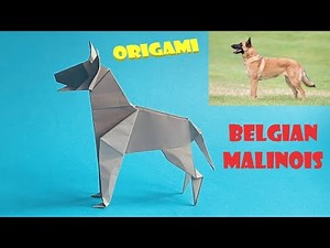 How to make an easy origami dog (Belgian Shepherd)