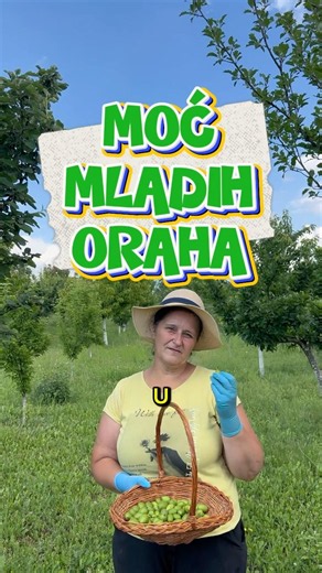 Moć mladih oraha💚 #priroda #recept #orah #med #tradicija