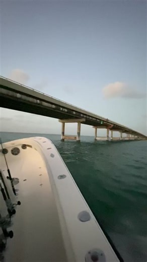 Exciting Fishing Trip on a 34' Sea Vee | Center Consoles Only