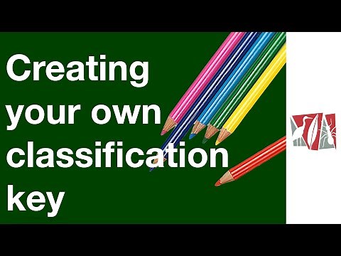 Creating your own classification key