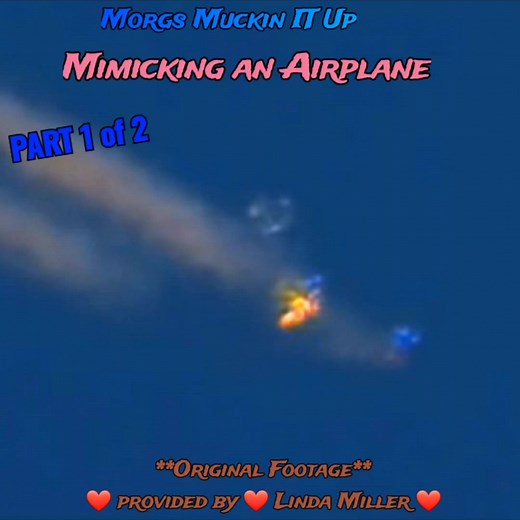 This clip was sent to the MRC for evaluation & we were stunned!! Morgs are extremely easy to identify because of their appearance & unique behaviors . Morgs are known for their Hallmark Characteristic of forming geometric structures such as PERFECT SQUARES. 🔳 To form a Nut & Bolt square, *Bright White Morgs*contort their body into 90° angles & wrap around *Black Morgs* We suspect the square formations are Morgs procreating. 👽 Morgs are a new microscopic species which have crazy abilities that 