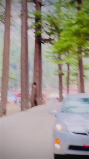 Exploring the Passion for Pakistani Motorcycles