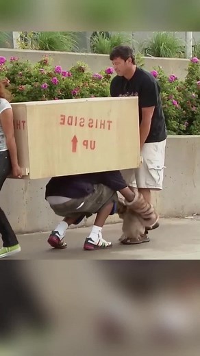 alexlaughter on TikTok