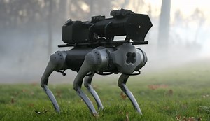 The Thermonator is a "Flamethrower Robot Dog"
