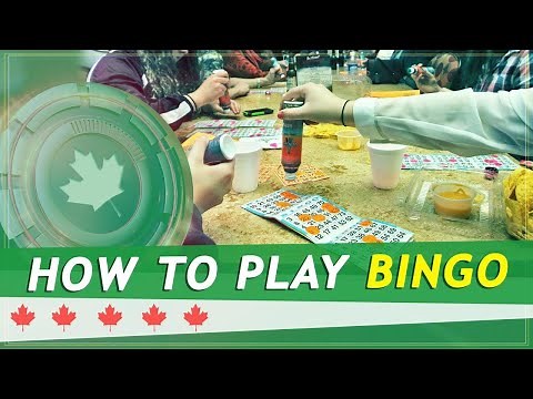 HOW TO PLAY BINGO ONLINE? FULL GUIDE FROM EXPERTS!