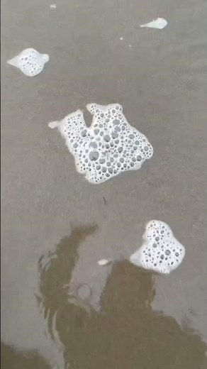 Extremely Satisfying Stomping on Beach Bubbles! #shorts