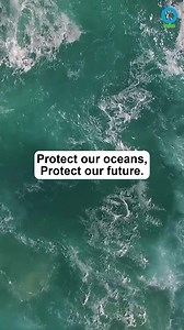 25K views · 207 reactions | Oceans help regulate temperatures around the globe. Conservation International is working to double the area of protected ocean. You can help. | Conservation International | Facebook