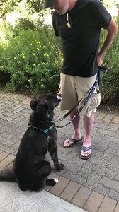 Timothy James McGuire 1963-2021 Tim McGuire It is with deep sadness that the family of Tim McGuire is letting you know of his passing after a short, valiant and fierce battle with cancer which took him from us too soon. Born in Ottawa, Tim grew up in Hawkesbury, Kenora, Rothesay, La Tuque and Ottawa. He spent many happy years living and working in Ottawa but his home and his heart have been in the mountains in Whistler BC where he lived almost 30 years. Fiercely independent, Tim always lived lif