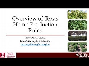 Texas Hemp Rules: Licensing & Permits - Tiffany Lashmet