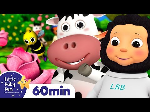 Ring Around The Rosy +More Nursery Rhymes and Kids Songs | Little Baby Bum