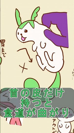 【動物実験】ずんだもん の経口投与の方法
