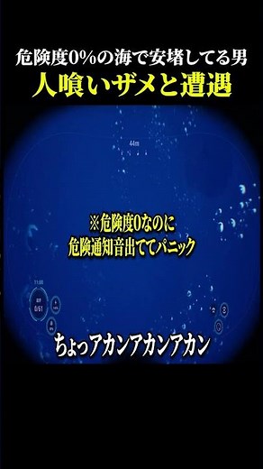 Thalassophobe gets tricked by the game and attacked by a shark【Wreck Below】