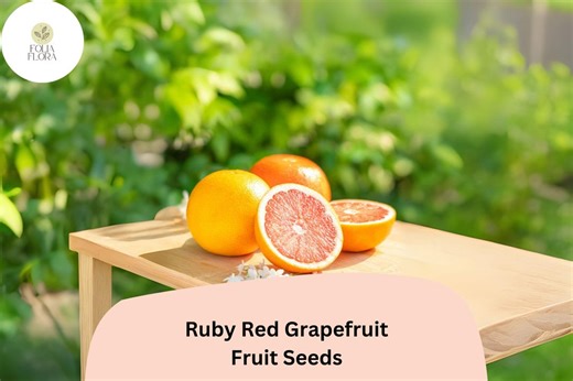 Ruby Red Grapefruit Seeds – 15 Citrus Paradisi | Pink Grapefruit Tree Seeds - Etsy