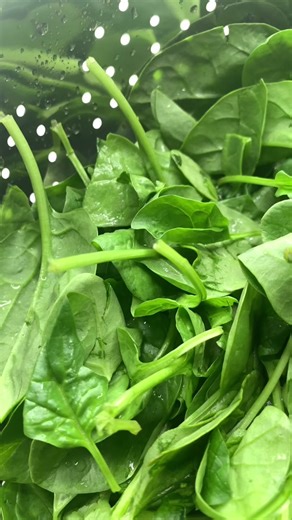 Spinach Juice Recipe - Healthy and Nutritious Juicing Tutorial