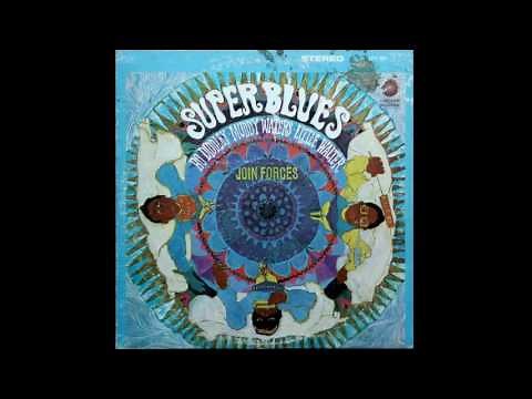 Bo Diddley, Muddy Waters & Little Walter - I'm A Man