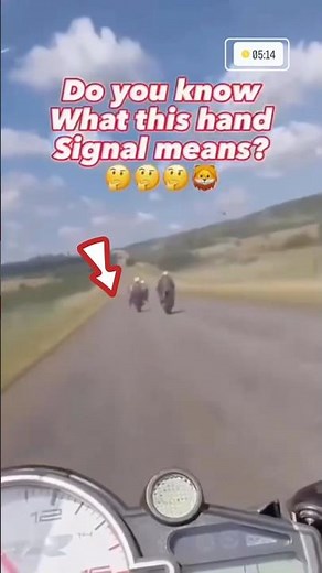 Motorcycle Hand Signals: The Secret Language of Bikers