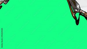 Paper transition burning green screen