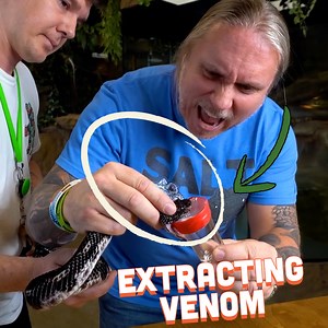 Check Out This Snake Experiment!🐍 | Brian Barczyk