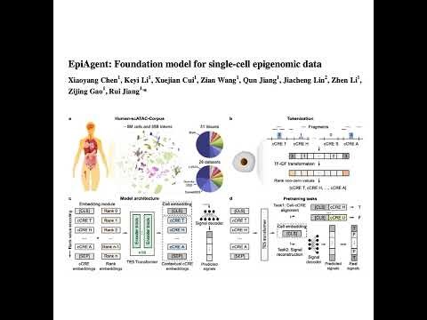 203-EpiAgent: Foundation Model for Single-Cell Epigenomics