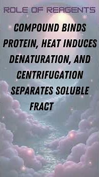 Cellular Thermal Shift Assay CETSA