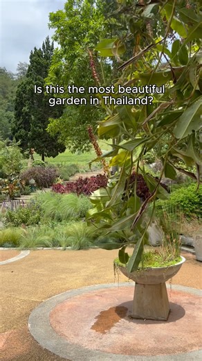 Welcome to the Queen Sirikit Botanic Garden in Chiang Mai — Thailand’s first and most iconic botanical haven 🌿 With 12 stunning greenhouses and over 33,000 plant species, it’s the largest glasshouse complex in the country — and an unforgettable stop on our Essential Thailand tour https://bit.ly/3HeWnoe | Costsaver Tours