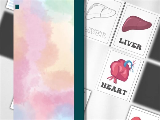 37 Pages | Printable Male Anatomy Chart – Educational Human Body Diagram for Homeschool or Clinic