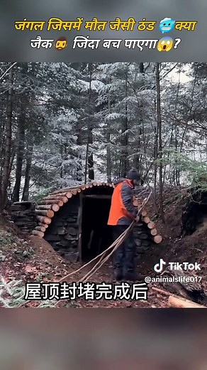 Mastering Survival Skills Alone in the Wilderness