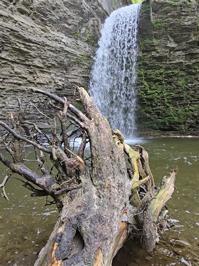 #naturesbeauty #naturevibes #waterfallhike #exploringnature #hikingadventures