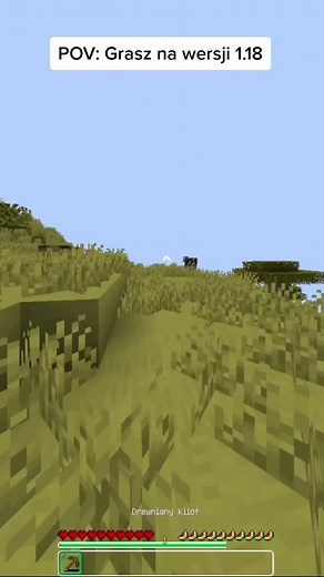 Na jakiej wersji grasz? 🤔 #minecraft #minecraftpl #hypixel #kokscraft #dc #vertezhub #lunar #fypシ #dlaciebie