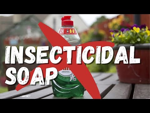 Insecticidal soap: clearing up the confusion about dish soap