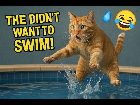 "Cats vs Water: The Ultimate Wet Fails Compilation! 😹💦