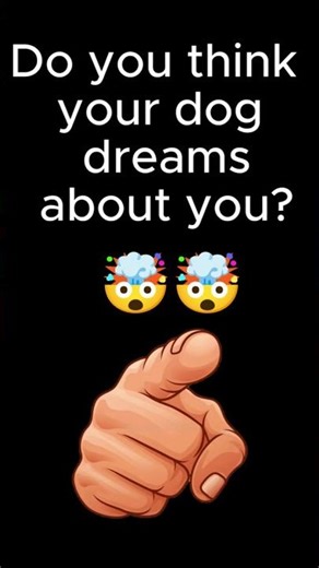 Dogs Actually Dream Like Humans 🤯