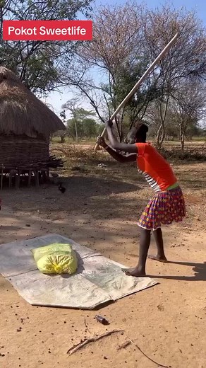 Exploring the Rich Pokot Culture and Traditions in Kenya