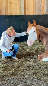 1.8M views · 31K reactions | Cozy time with Trash ♥️ #horse #aqha #equestrian #gelding #farmlife | Malin Melin | Facebook