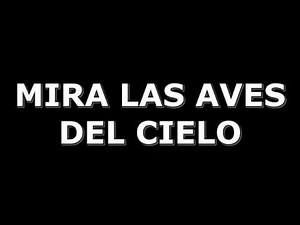 NO TE AFANES, JUAN CARLOS ALVARADO