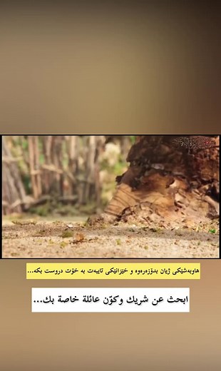 ‏#cartoon_animation_shortfilm_1