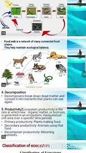 Ecosystem (structure and functions)ppt 2025 #environment #ecosystem #2025